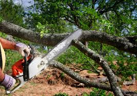 Best Weed Control  in Santa Claus, IN